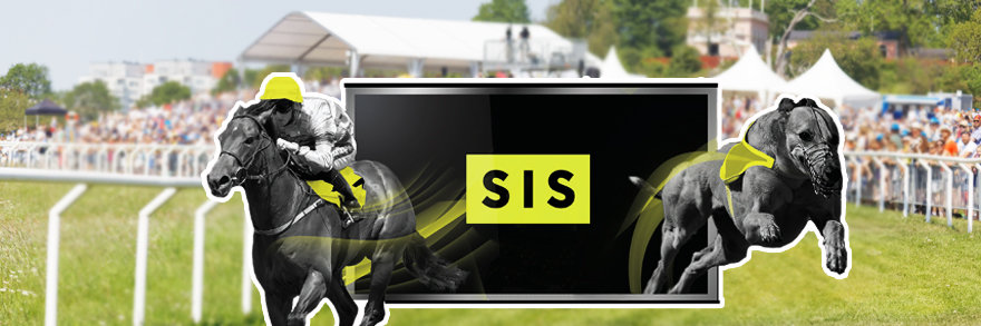 SIS Greyhound Service back in business