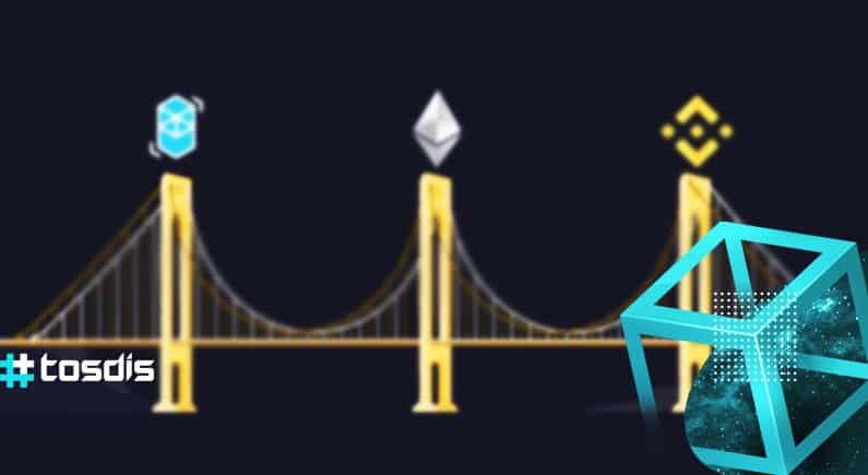 TosDis – the one stop DeFi interoperable solution