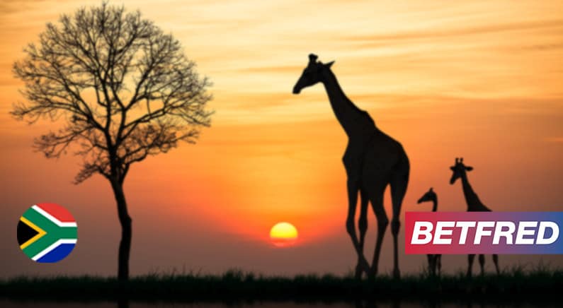 BetFred se lanza en Sudáfrica con una oferta de 54,8 millones de dólares por Phumelela