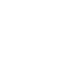 chip icon