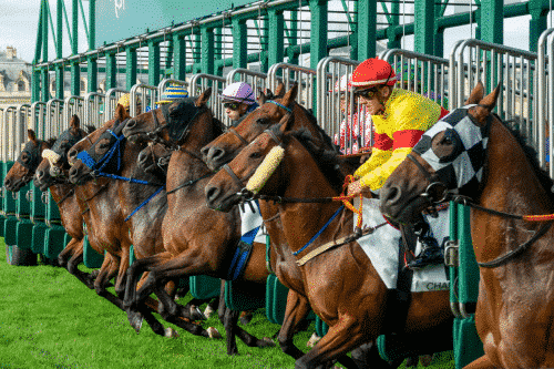 Cheltenham Racecourse