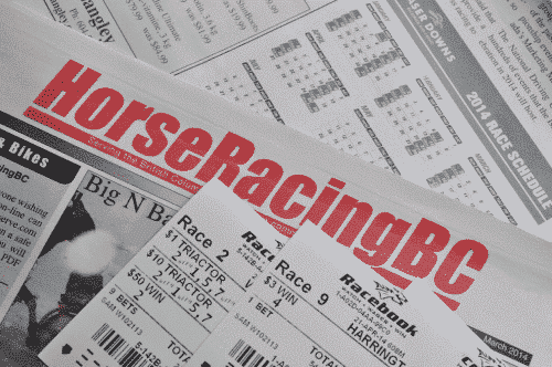 Cheltenham bonuses