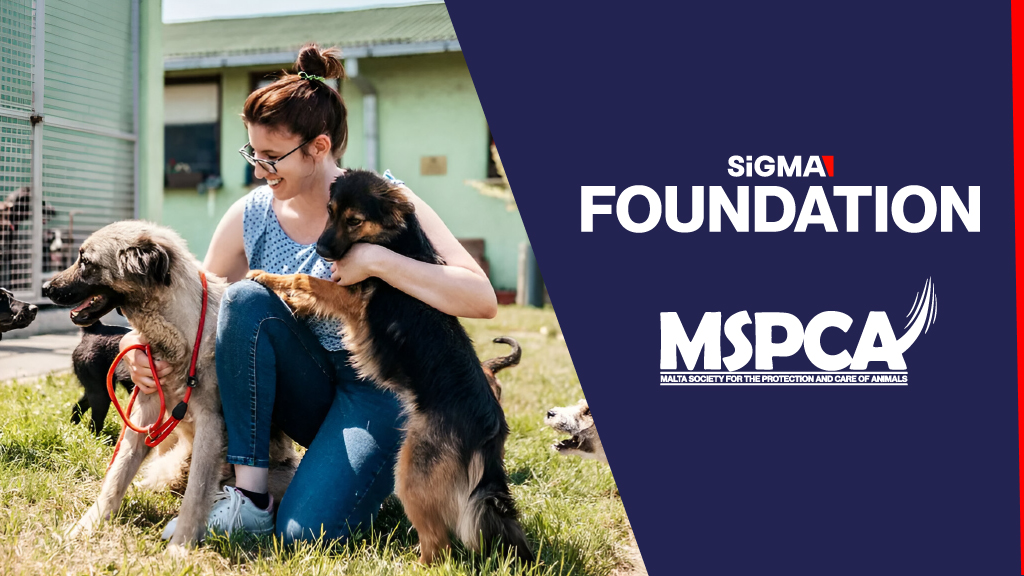 SiGMA फाउंडेशन ने MSPCA के दान से पशु कल्याण में योगदान दिया