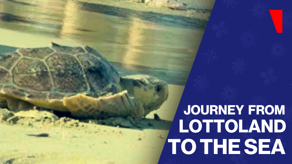 From Lottoland to the sea: Celebrating gaming industry CSR initiatives