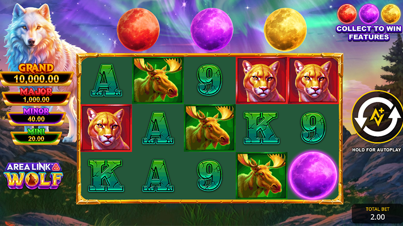 Area Link Wolf reels featuring cougar and moose symbols, with red, purple, and yellow moons filling collection meters. Jackpot ladder values (Mini, Minor, Major, Grand) are shown on the left.