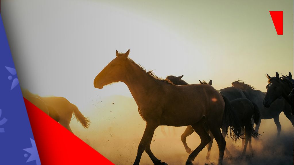TwinSpires reinicia las apuestas en Texas tras disputa judicial